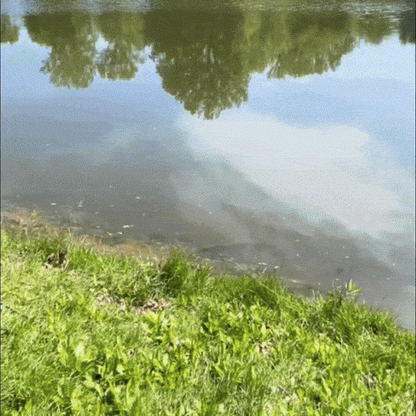 HookVue™| Premium Polarized Sunglasses — Spot More Fish, Cut Glare, Protect Your Eyes